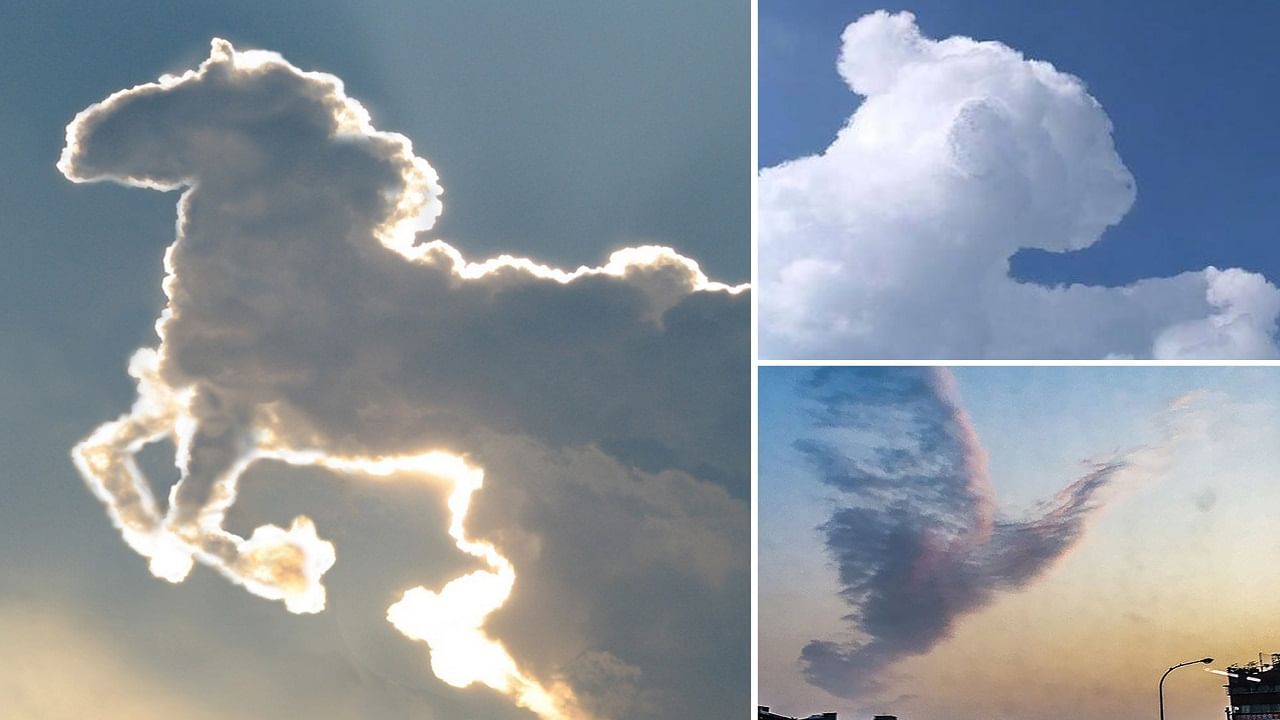 Cloud Shape: কোনও মেঘ চাদরের মতো, কোনও মেঘ যেন সমুদ্রের ঢেউ; কোন জাদুতে এমন হয় জানেন?