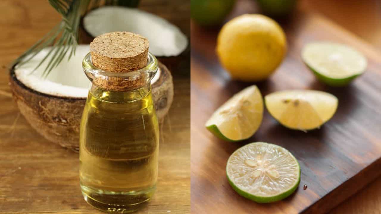 Hair Problem Solution: খুশকি ও চুল পড়া কমবে ৭ দিনে, নারকেল তেলের সঙ্গে কী মেশাবেন? Hair Problem Solution: খুশকি ও চুল পড়া কমবে ৭ দিনে, নারকেল তেলের সঙ্গে কী মেশাবেন?