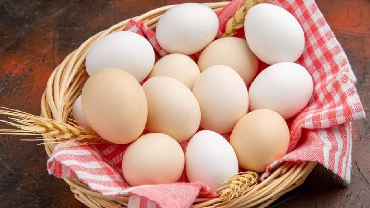 Egg Benefits: কোন ডিমে বেশি পুষ্টি