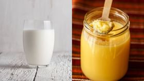 Milk-Ghee: ভাল ঘুম হয় না, গ্যাস-অম্বল লেগেই থাকে? রাতে দুধের সঙ্গে এই জিনিসটি মিশিয়ে খেলেই পাবেন দারুণ উপকার Milk-Ghee: ভাল ঘুম হয় না, গ্যাস-অম্বল লেগেই থাকে? রাতে দুধের সঙ্গে এই জিনিসটি মিশিয়ে খেলেই পাবেন দারুণ উপকার