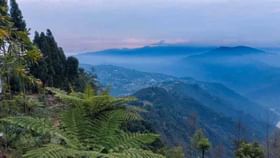 Kalimpong: পুজোয় কালিম্পং যাচ্ছেন? এই পাহাড়ি জনপদে কাটাতে পারেন দু'রাত্রি Kalimpong: পুজোয় কালিম্পং যাচ্ছেন? এই পাহাড়ি জনপদে কাটাতে পারেন দু'রাত্রি