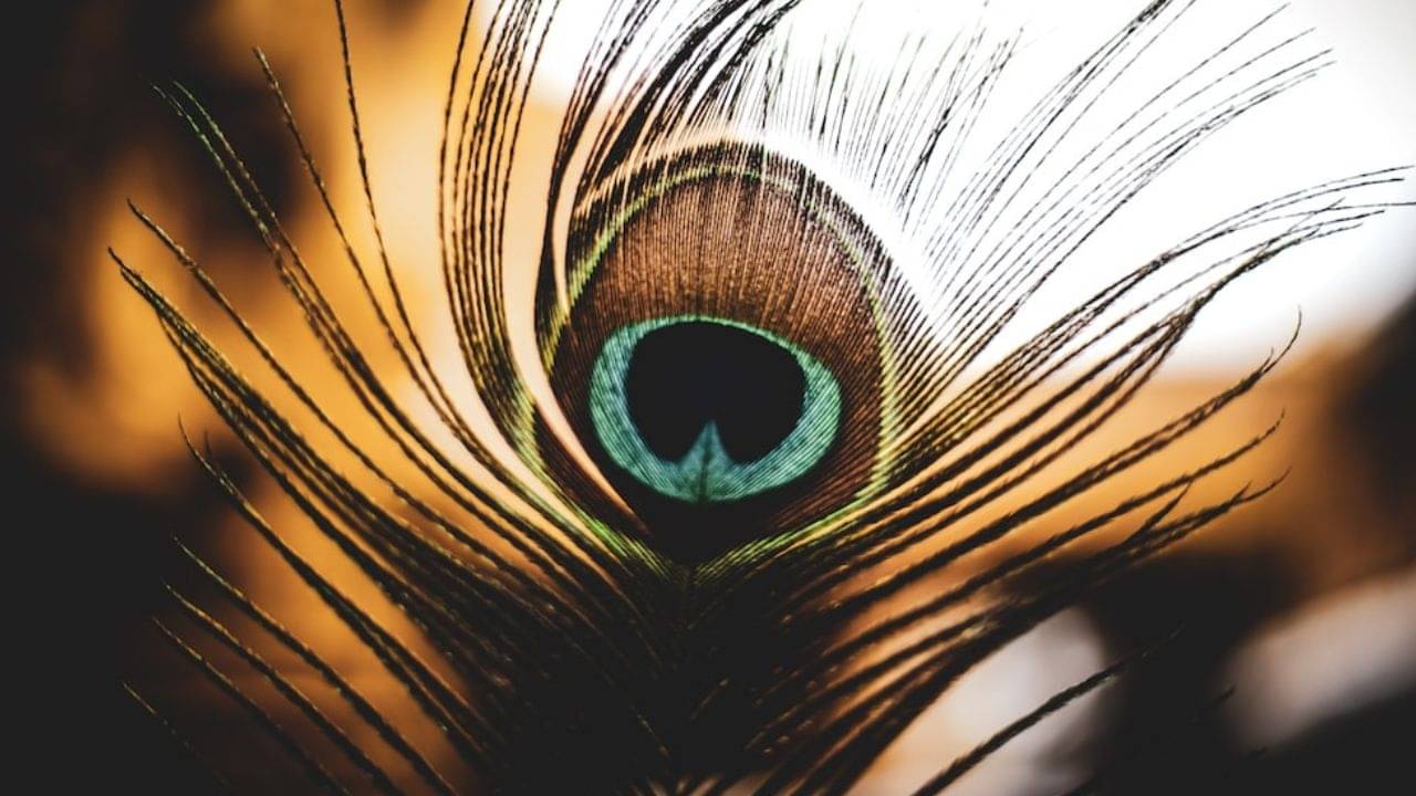 Vastu Tips: বেশি কিছু নয়, সারারাত বালিশের তলায় এই জিনিস রেখে শুলেই রাতারাতি খুলে যাবে ভাগ্য!