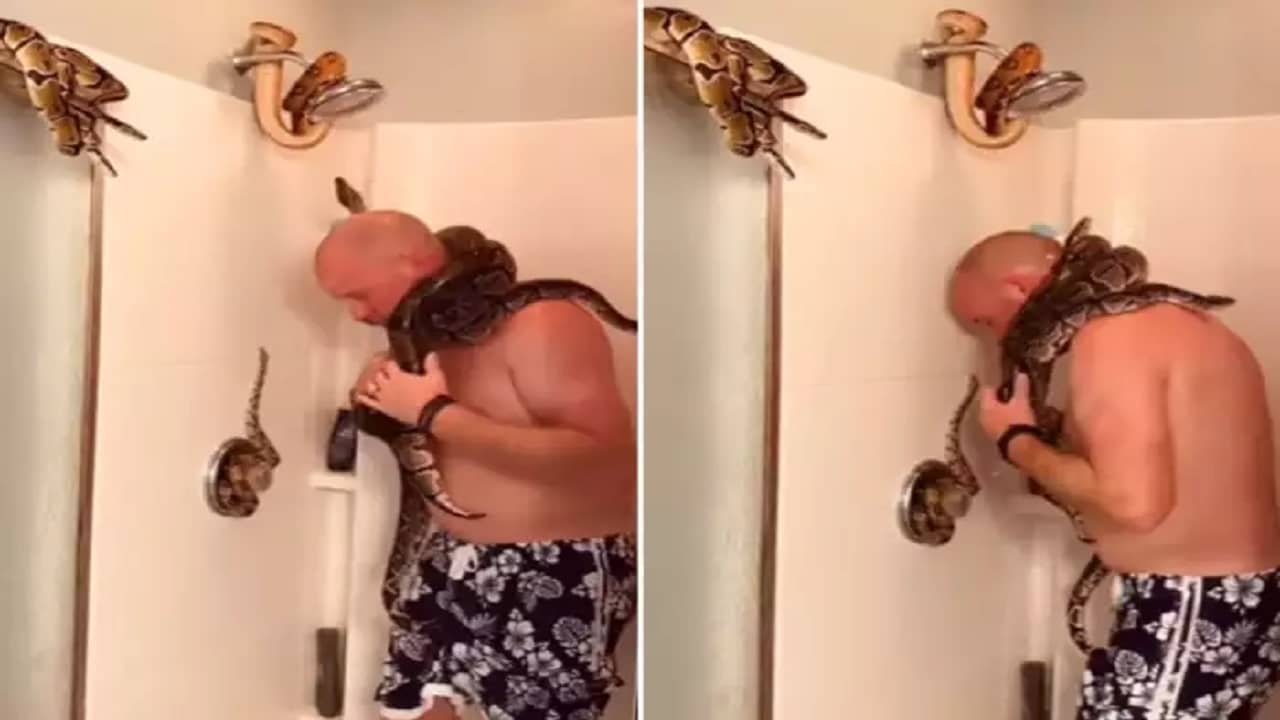 Viral Video: দুঃসাহস বললেও কম বলা হবে! বাথরুমের ঘুরছে বিষধরেরা; গলায় সাপ ঝুলিয়ে স্নানে ব্যস্ত এই ব্যক্তি