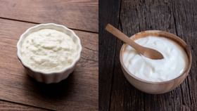 Curd vs Yogurt: দুধ থেকে তৈরি হলেও টক দই ও ইয়োগার্ট এক জিনিস নয়, জানতেন? Curd vs Yogurt: দুধ থেকে তৈরি হলেও টক দই ও ইয়োগার্ট এক জিনিস নয়, জানতেন?