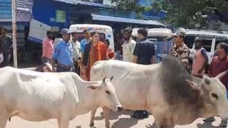 Cattle Smuggling Case: বাংলা থেকে দিল্লিতে সরল গরু পাচার মামলা, চাপ বাড়ল অনুব্রতর