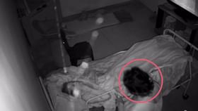 রাতে ঘুমের ব্যাঘাত হওয়ায় 'মারধর', বৃদ্ধার মৃত্যুতে গ্রেফতার আয়া রাতে ঘুমের ব্যাঘাত হওয়ায় 'মারধর', বৃদ্ধার মৃত্যুতে গ্রেফতার আয়া