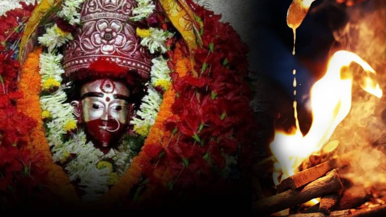 Kaushiki Amavasya 2023: তুলসী নয়, কৌশিকী অমাবস্যায় এই গাছের পাতা ছিঁড়লেই মহাবিপদ! প্রতিকারে মেলে সিদ্ধিলাভ