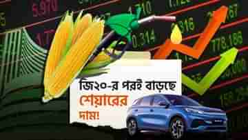 Stock Price Increasing: দিশা দেখাল জি২০ সম্মেলন, আকাশ ছুঁতে পারে এই শেয়ারগুলি