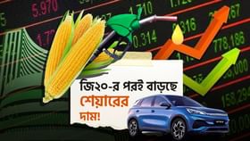 দিশা দেখাল জি২০ সম্মেলন, আকাশ ছুঁতে পারে এই শেয়ারগুলি দিশা দেখাল জি২০ সম্মেলন, আকাশ ছুঁতে পারে এই শেয়ারগুলি