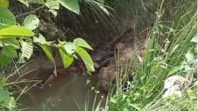 ফেসবুকে বাবার দেহের ছবি দেখে মৃত্যুর চার মাস পর শনাক্ত করলেন ছেলে! ফেসবুকে বাবার দেহের ছবি দেখে মৃত্যুর চার মাস পর শনাক্ত করলেন ছেলে!