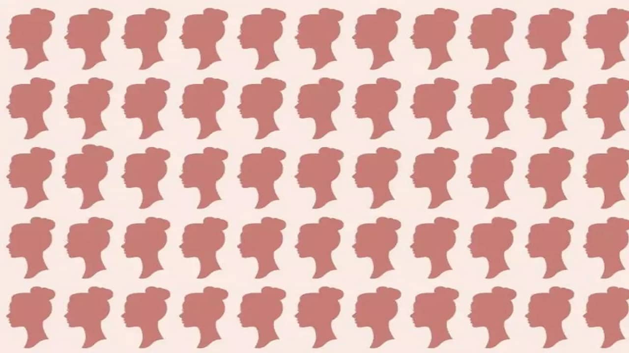 Optical Illusion: নারীদের এই ছায়ার ছবিতে একজন বসে রয়েছেন, বলুন তো তিনি কোথায়?