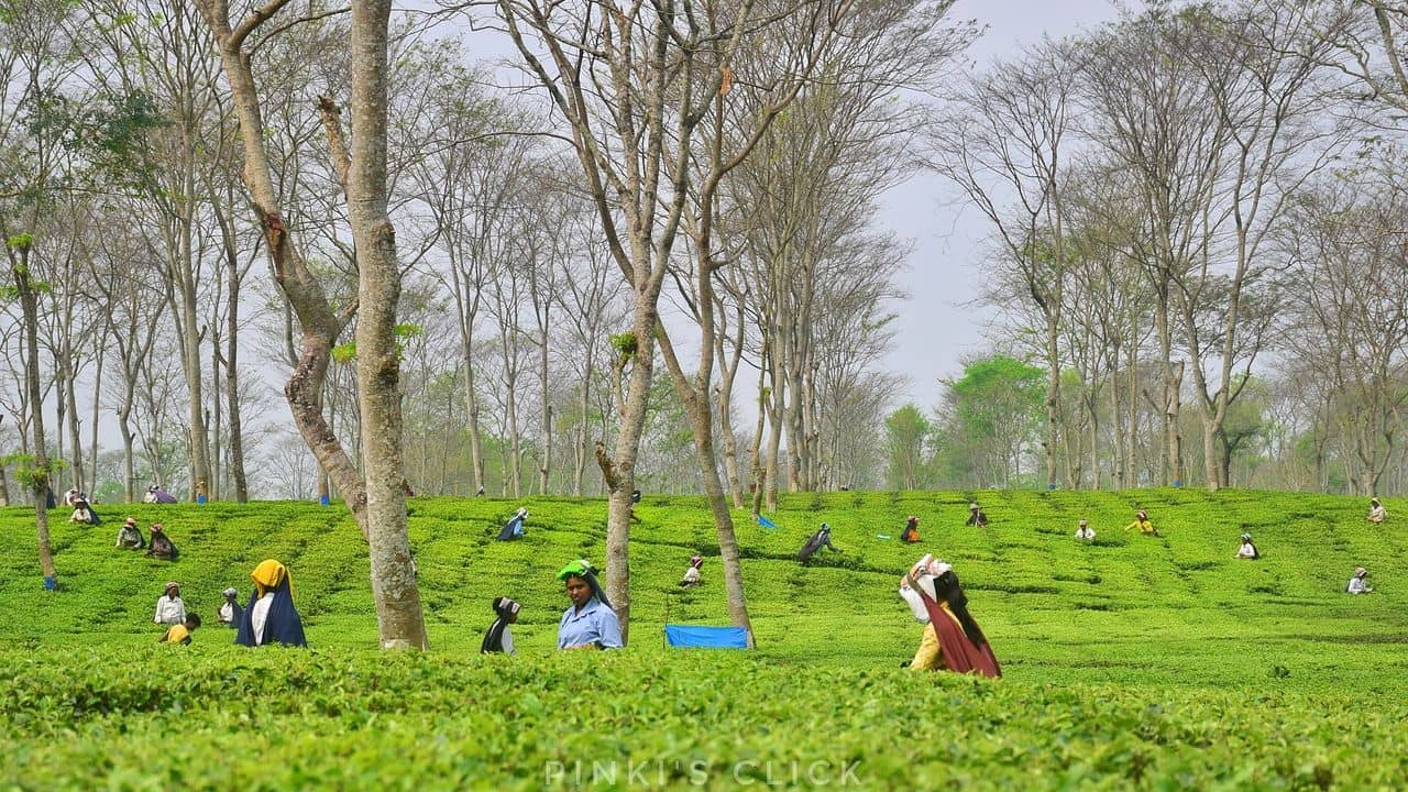 Rural Development: দার্জিলিং-কালিম্পঙের উন্নয়নে ৮৩ কোটি বরাদ্দ কেন্দ্রের