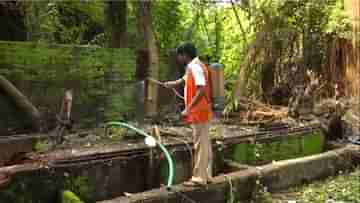 Dengue: মশার লার্ভা নিধনের প্রশিক্ষণই নেই একাংশের, পঞ্চায়েত সদস্যদের প্রশিক্ষণ রাজ্যের