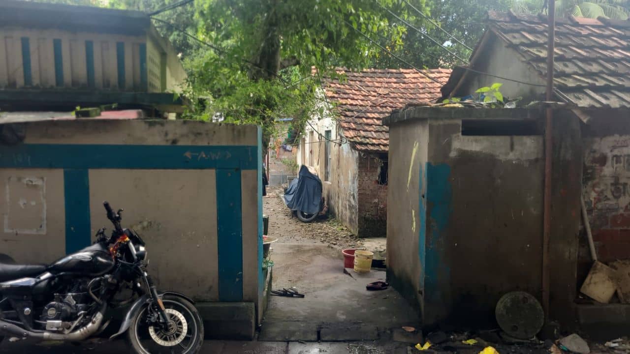 Dengue: ৮ মাস হয়েছে বিয়ের, দুদিনের জ্বরে শহরে আরও এক ডেঙ্গি আক্রান্তের অকাল মৃত্যু