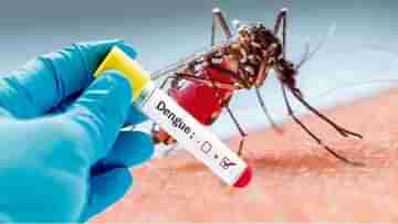 Dengue Outbreak in Kolkata: আবার কলকাতা, ডেঙ্গিতে আক্রান্ত হয়ে মৃত্যু বৃদ্ধের