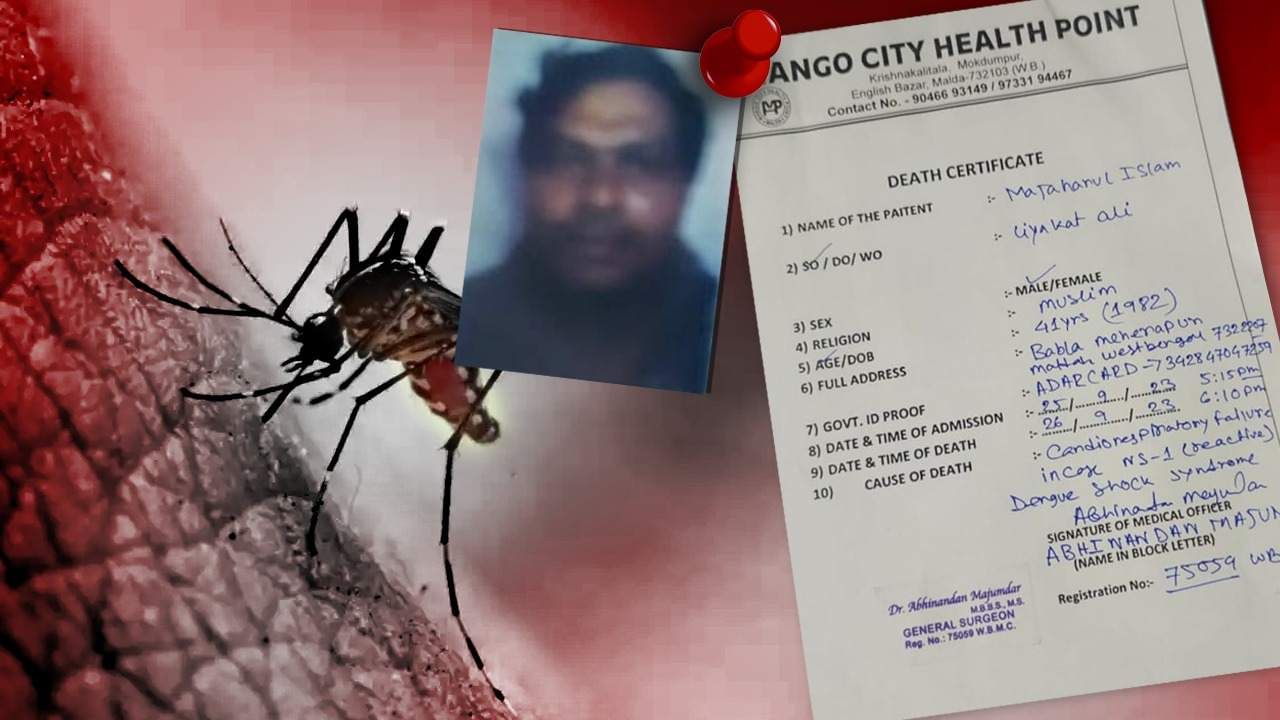 Dengue in Malda: প্রবল জ্বরে ভর্তি হাসপাতালে, ২৪ ঘণ্টা কাটতে না কাটতেই মালদহে মৃত্যু ডেঙ্গি আক্রান্ত ব্যক্তির