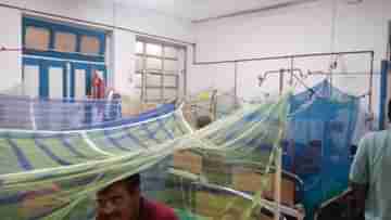 Dengue: এবার আর শুধু প্লেটলেট নয়, ডেঙ্গির থাবায় হার্ট-কিডনি-লিভার-ব্রেনও