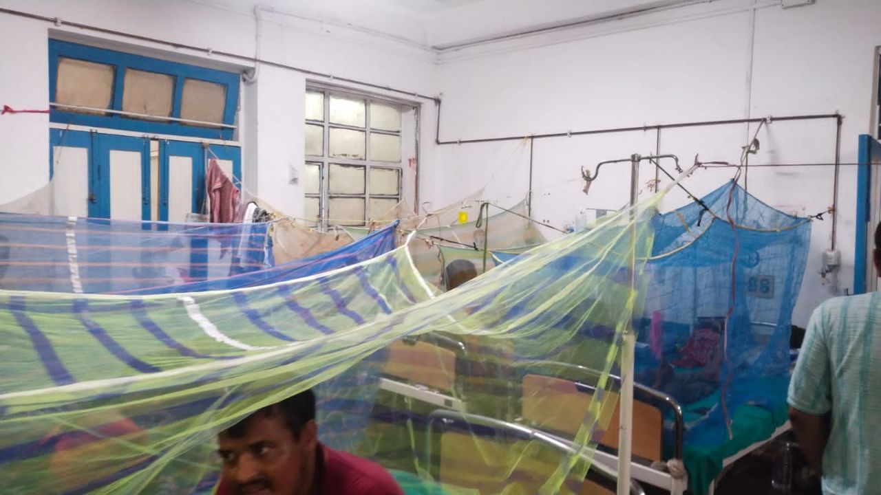 Dengue: এবার আর শুধু প্লেটলেট নয়, ডেঙ্গির থাবায় হার্ট-কিডনি-লিভার-ব্রেনও Dengue: এবার আর শুধু প্লেটলেট নয়, ডেঙ্গির থাবায় হার্ট-কিডনি-লিভার-ব্রেনও