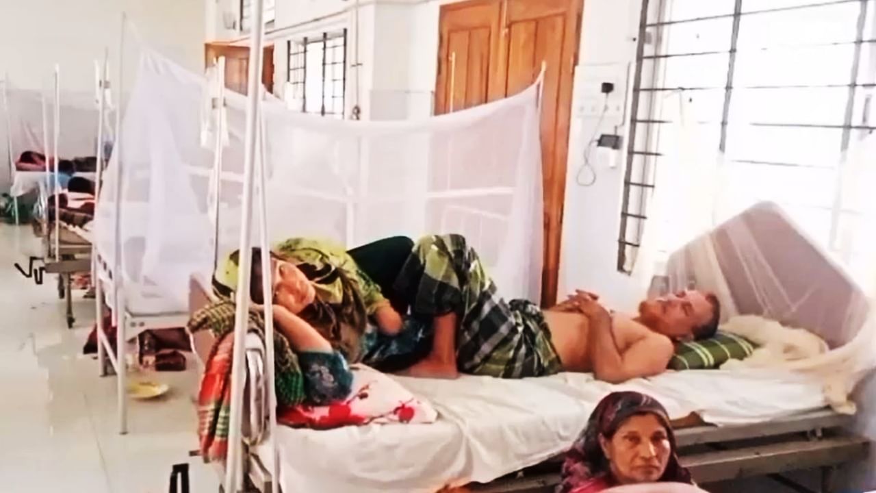 Bangladesh Dengue: ২৪ ঘণ্টায় মৃত্যু আরও ২১ জনের, বাংলাদেশে আতঙ্কের নাম এখন ডেঙ্গি