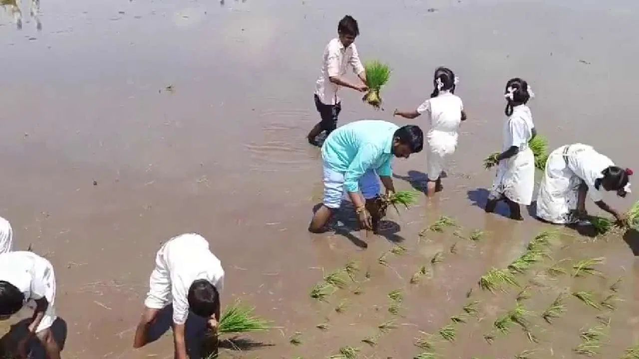 শুধু স্কুলের ক্লাসরুমের চার দেওয়ালের মধ্যে বসেই নয়, এর পাশাপাশি মাঠে-ময়দানে নেমে নিজে হাতে চাষবাসের খুঁটিনাটি শিখিয়ে দেওয়া হচ্ছে পড়ুয়াদের। 