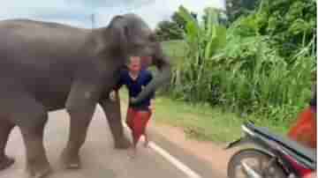 Viral Video: প্রাণের বান্ধবকে ছাড়বে না সে, শুঁড় দিয়ে আটকে রেখেছে কিউট গজরাজ