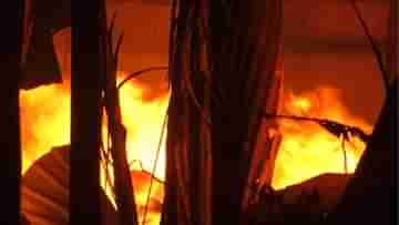 Fire in Factory: ঘোলায় ভয়ঙ্কর অগ্নিকাণ্ড! দাউ দাউ করে জ্বলছে গেঞ্জি কারখানা