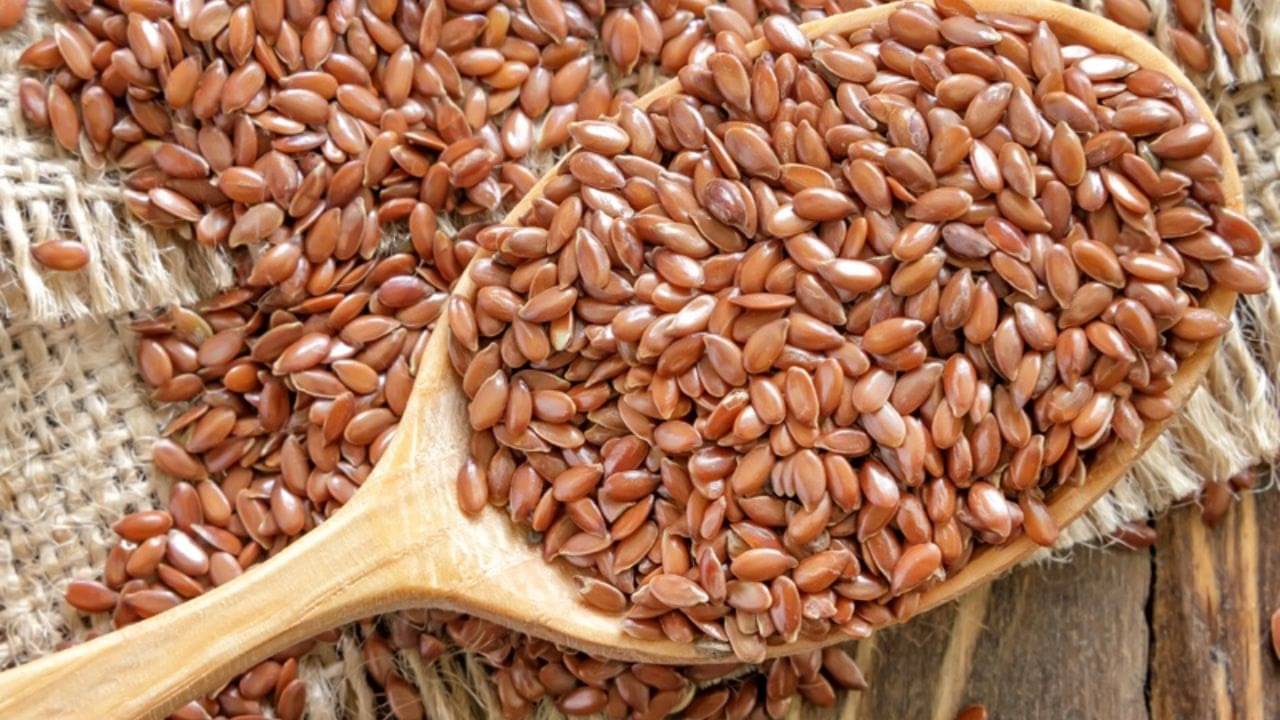 Flax Seed For Health: ডায়েটে রয়েছে তো ফ্ল্যাক্স সিড? না থাকলে তাড়াতাড়ি যোগ করুন, হাতের মুঠোয় থাকবে শরীর