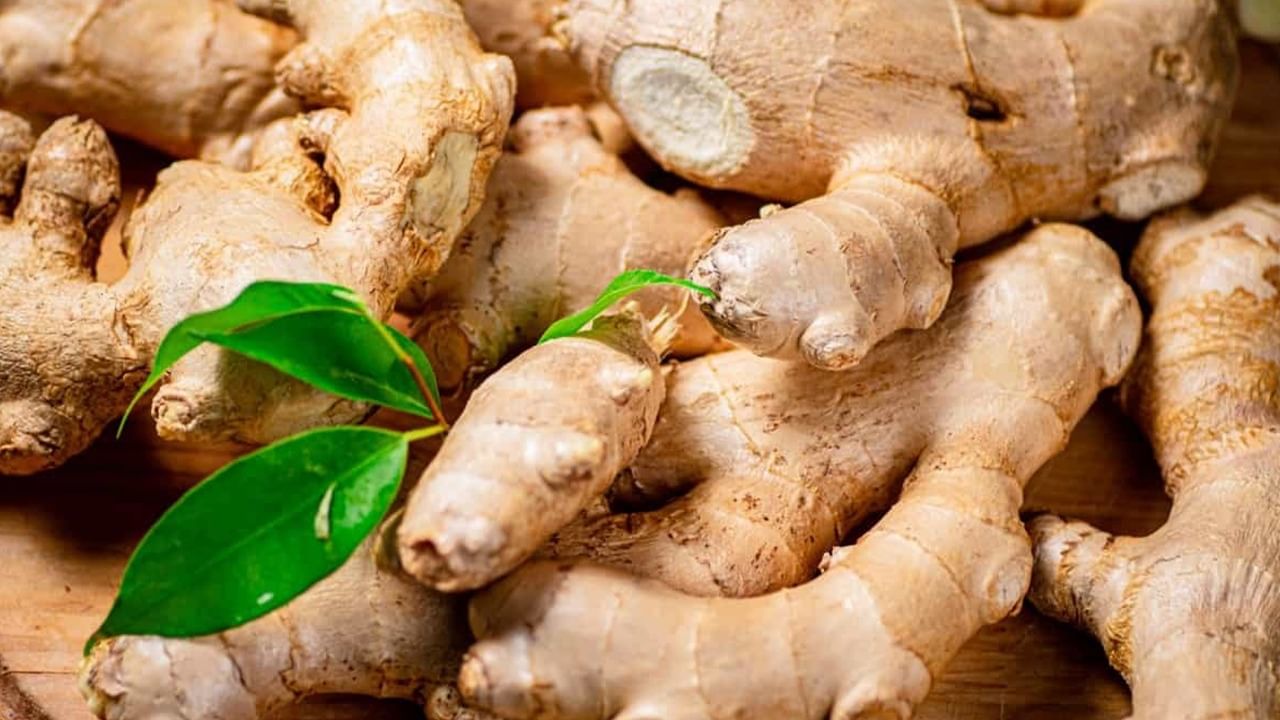 Ginger Water Benefits: আদা জলেই রোগমুক্তি!