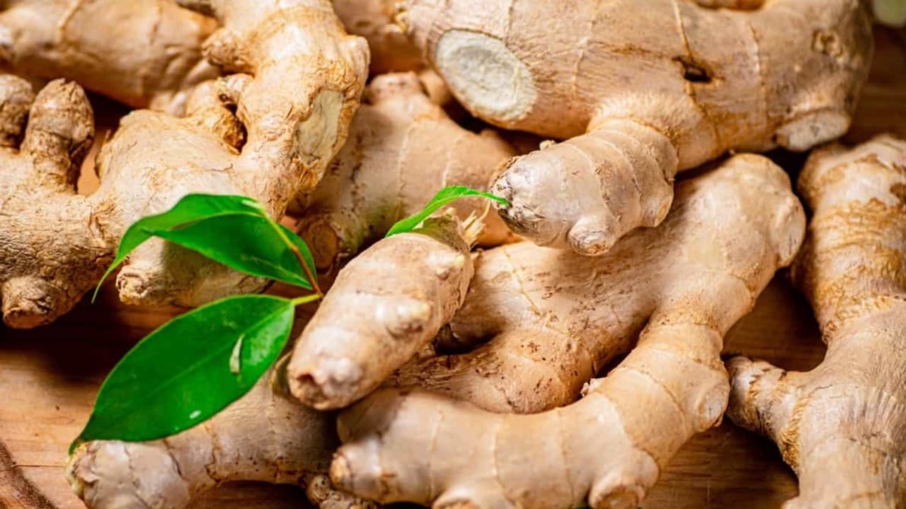 Ginger Benefits রোগমুক্তি আদাতেই Bengali News Ginger Helps To