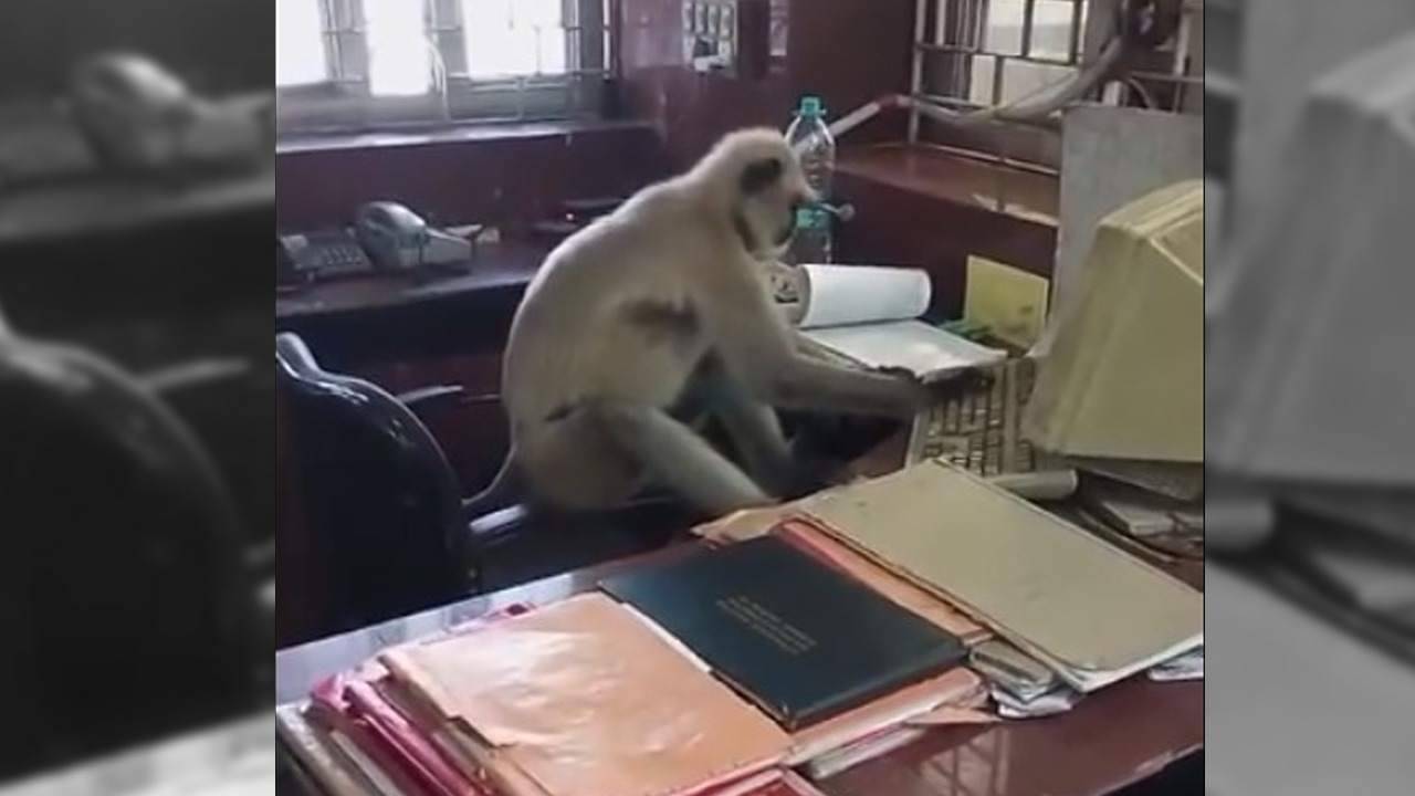 VIDEO: বোলপুর টিকিট কাউন্টারে রেল কর্মী পবনপুত্র! দিব্য কম্পিউটার চালাচ্ছেন