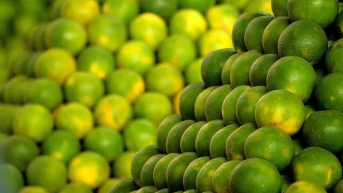 Benefits Of Mosambi: ১ ফল ১০০০ গুন
