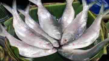 Hilsa Fish: পুজোর আগে ৫ হাজার টন ইলিশ পাঠাচ্ছেন হাসিনা