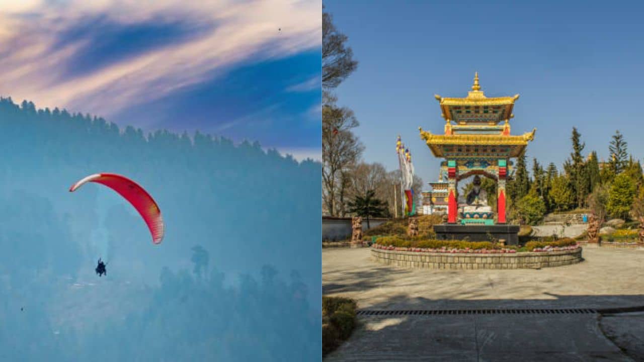 Bir Billing: প্রাকৃতিক বিপর্যয়ের পর পর্যটকদের জন্য সাজছে হিমাচল, যেতে পারেন এশিয়ার বৃহত্তম প্যারাগ্লাইডিং সাইটে