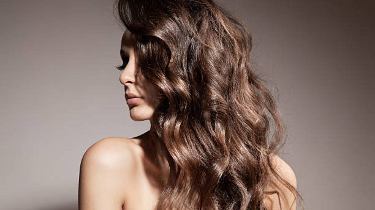 Hair Care Routine: এক মাস টানা মেনে চলুন এই ৫ ধাপ, পুজোর আগেই ঘন কালো চুল পাবেন গ্যারান্টি