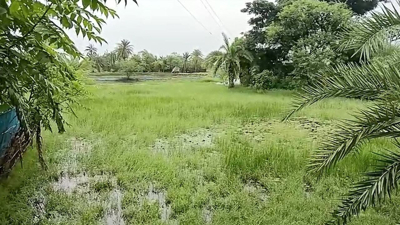 Sundarbans Railway Project: ১৪ বছর পরেও হয়নি রেলপথ!