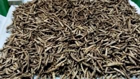 উদ্ধার হিমালয়ান ভায়াগ্রা উদ্ধার হিমালয়ান ভায়াগ্রা