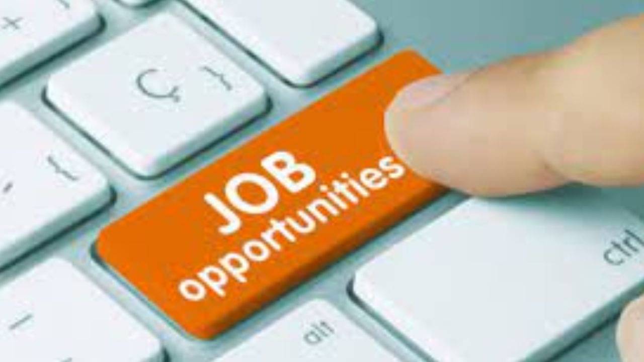 Govt job: স্নাতকদের জন্য সরকারি চাকরির সুযোগ, বেতন ৬৫ হাজার টাকার বেশি