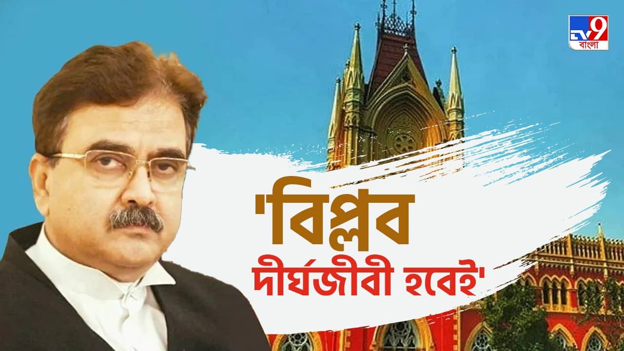 Justice Abhijit Ganguly: আর কটা দিন আছে, যাওয়ার আগে কিছু করে যাব: বিচারপতি গঙ্গোপাধ্যায়
