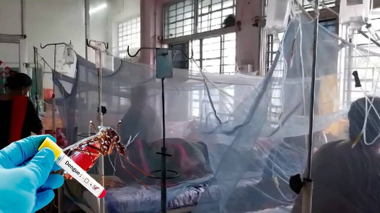 Dengue Death: ফের ডেঙ্গির বলি, দত্তাবাদে মৃত্যু প্রৌঢ়ার