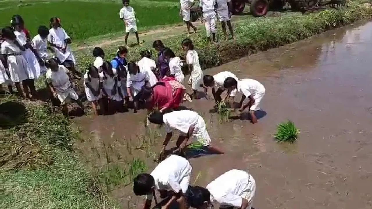 চাষবাসের জন্য সেচ কতটা প্রয়োজনীয়, তাও এদিন পড়ুয়াদের শিক্ষামূলক ভ্রমণের বোঝানো হয়। এই নতুন ধরনের হাতেকলমে প্রশিক্ষণের উদ্যোগের জন্য স্কুলের শিক্ষক-শিক্ষিকাদের ভূমিকাকেও সাধুবাদ জানিয়েছেন এলাকাবাসীরা।