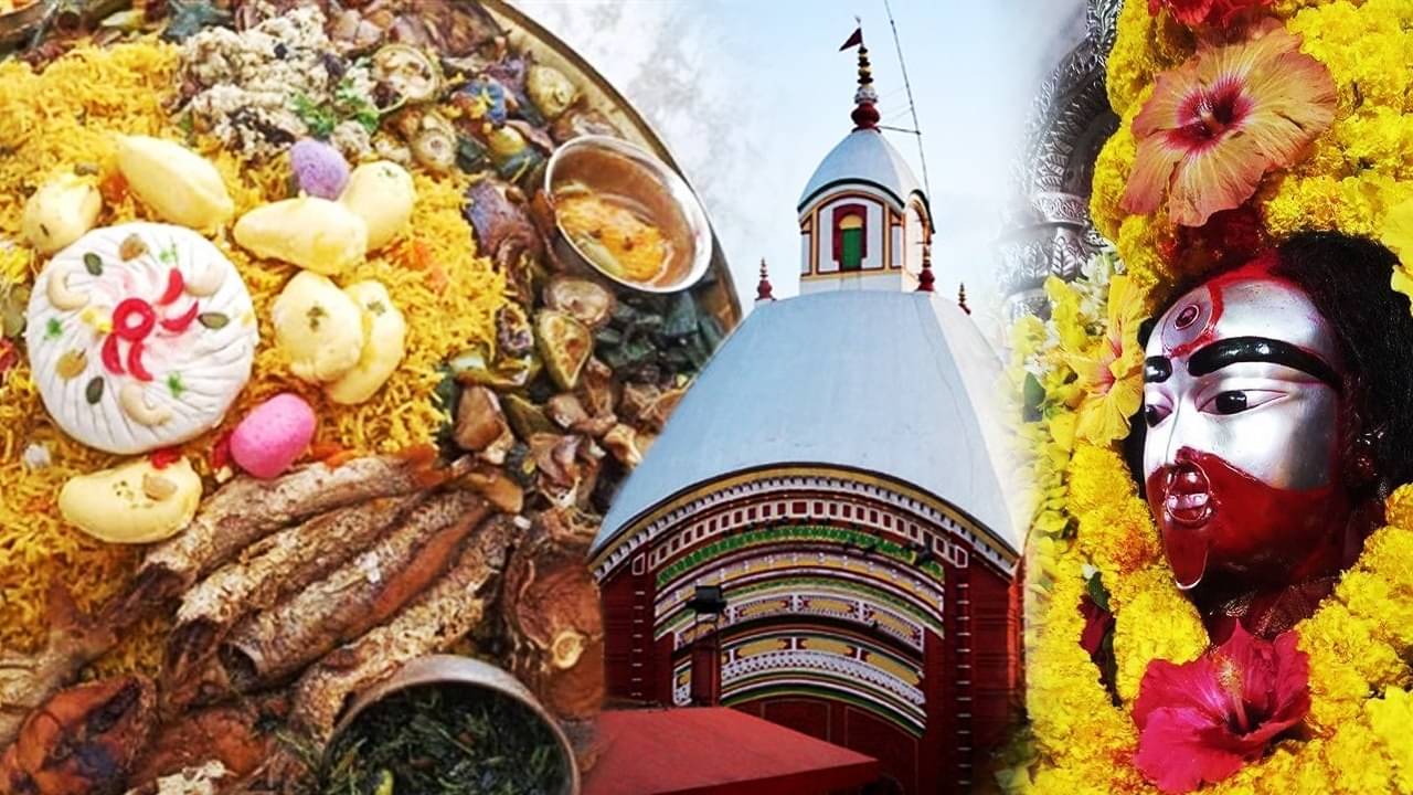 Kaushiki Amavasya 2023: ব্র্যান্ডেড মদ-পোড়া শোল মাছ-ফ্রায়েড রাইস, রাজকীয় ভোগ ছাড়া মুখে রোচে না তারা মায়ের