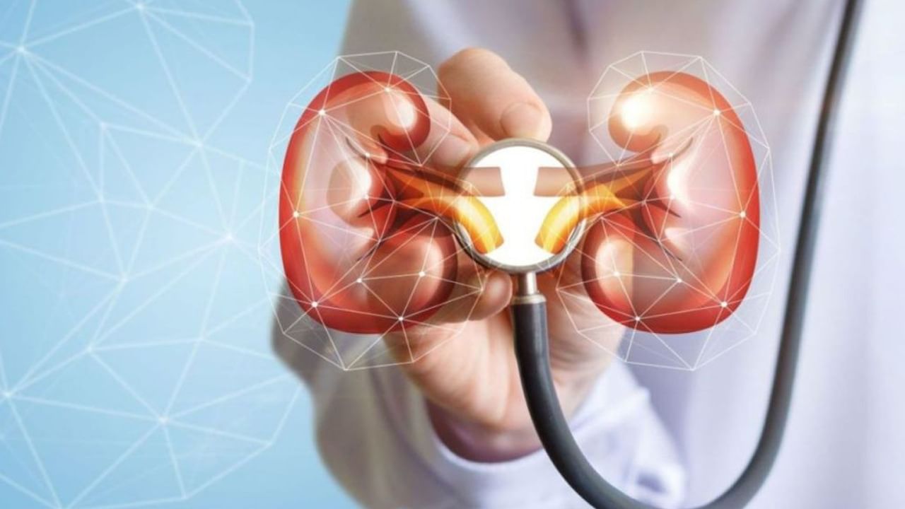 Kidney Care Tips: কিডনির কারনে বারণে রাখুন