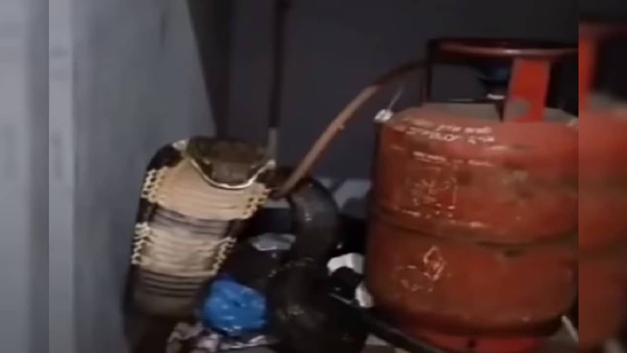 Viral Video: গ্যাস পাইপ লিক করেছে ভেবেছিলেন মহিলা, সিলিন্ডারের পিছনে তাকাতেই ফণা উঁচিয়ে এল...