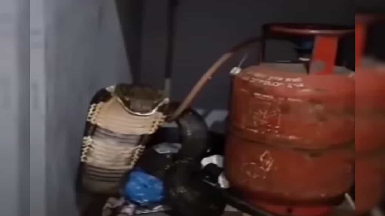 Viral Video: গ্যাস পাইপ লিক করেছে ভেবেছিলেন মহিলা, সিলিন্ডারের পিছনে তাকাতেই ফণা উঁচিয়ে এল... Viral Video: গ্যাস পাইপ লিক করেছে ভেবেছিলেন মহিলা, সিলিন্ডারের পিছনে তাকাতেই ফণা উঁচিয়ে এল...