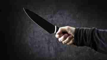 Knife Attack: সহপাঠী থেকে শিক্ষকদের উপর ছুরি-হামলা ছাত্রের, আহত ৫