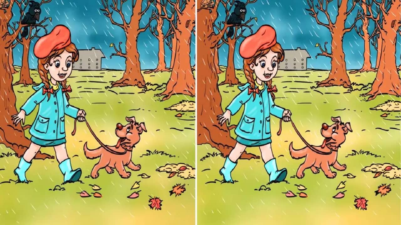 Optical Illusion: একটা কুকুরকে নিয়ে হাঁটতে বেরিয়েছে মেয়েটি, বলুন তো ছবির ভুলটা কী?