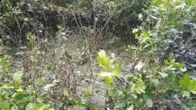 বৃষ্টির মধ্যে বিকট শব্দ, মালদহের বালুটোলায় মজুত বোমায় বিস্ফোরণ বৃষ্টির মধ্যে বিকট শব্দ, মালদহের বালুটোলায় মজুত বোমায় বিস্ফোরণ