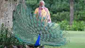 PM Narendra Modi: শুধু রাষ্ট্র পরিচালনা নয়, পরিবেশ ও বন্যপ্রাণ রক্ষাতেও সমান নজর থাকে মোদীর