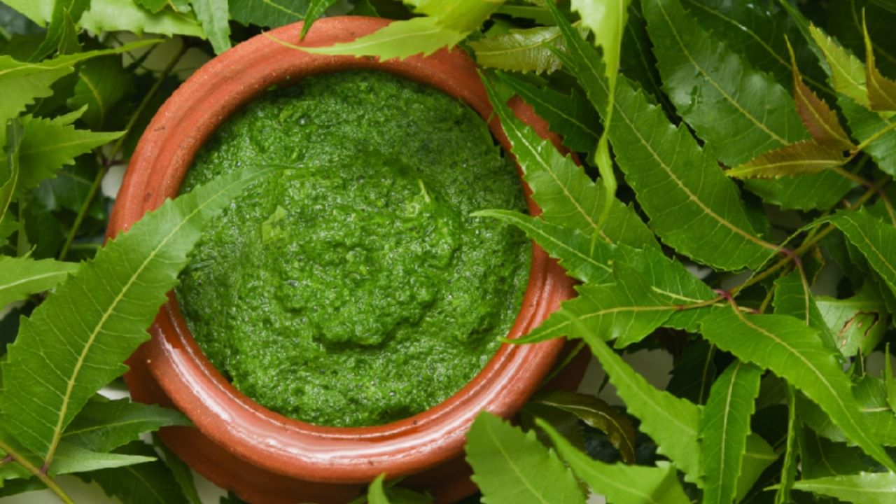 Neem Face Pack ত্বকের যত্নে নিম Bengali News How to make neem face pack at home TV9