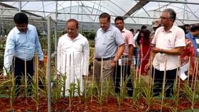 জলপাইগুড়িতে থাইল্যান্ডের অর্কিড! জলপাইগুড়িতে থাইল্যান্ডের অর্কিড!